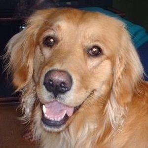 Meet your Posher, Corrie